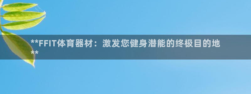 极悦平台代理怎么赚钱的：**FFIT体育器材：激发您