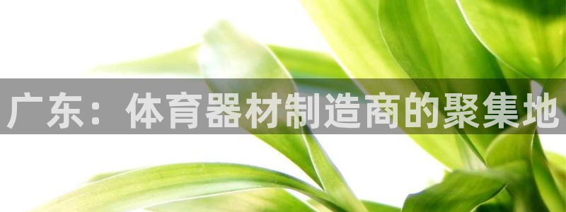 极悦平台官方网站下载安装：广东：体育器材制造商的聚集