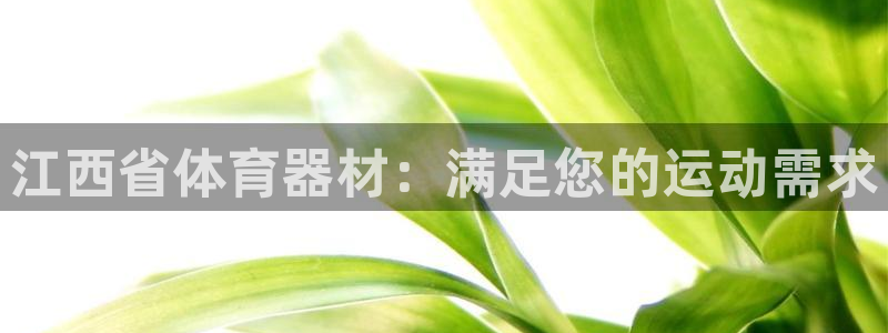 极悦娱乐代理多少钱一个月：江西省体育器材：满足您的运