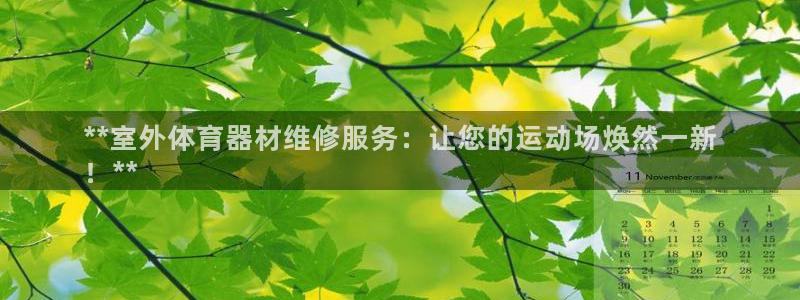 极悦官方网站：**室外体育器材维修服务：让您的运动场