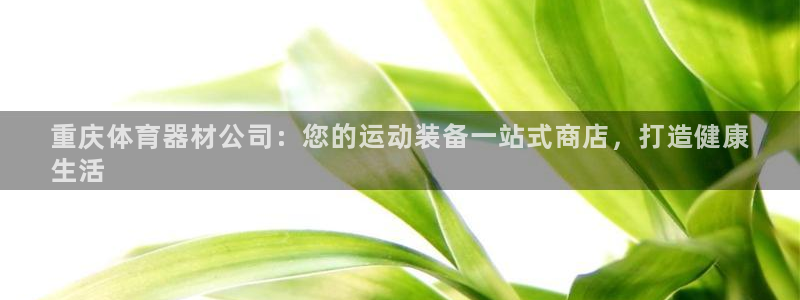 极悦牙膏怎么样：重庆体育器材公司：您的运动装备一站式