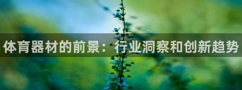 极悦官网首页登录入口网址：体育器材的前景：行业洞察和