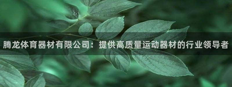 极悦娱乐的最新版本更新内容：腾龙体育器材有限公司：提