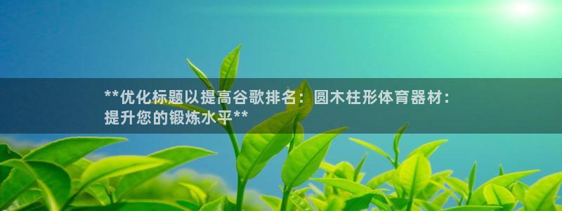 极悦娱乐官网下载：**优化标题以提高谷歌排名：圆木柱形体育器