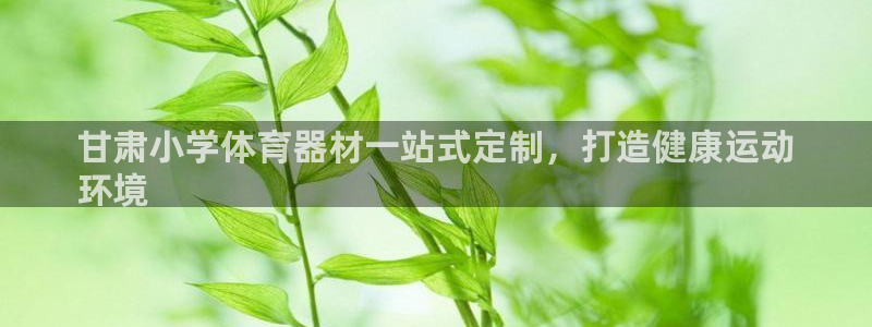 极悦官网注册最新版本更新内容：甘肃小学体育器材一站式定制，打