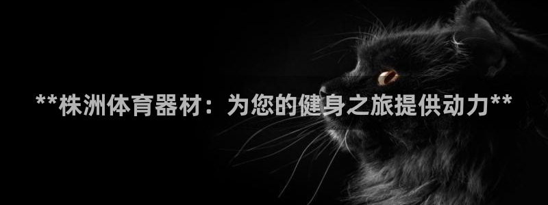 极悦牙膏好吗:**株洲体育器材:为您的健身之旅提供动力**